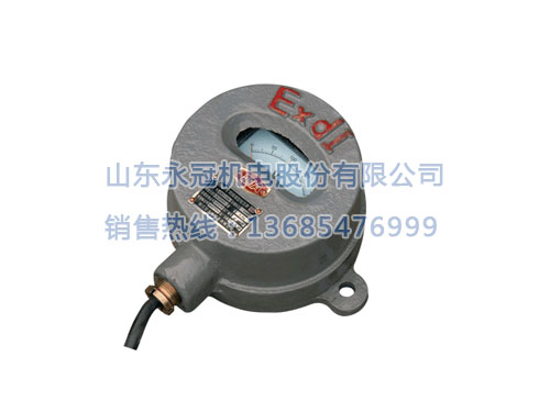 QBD1-3B隔爆型防爆電壓表